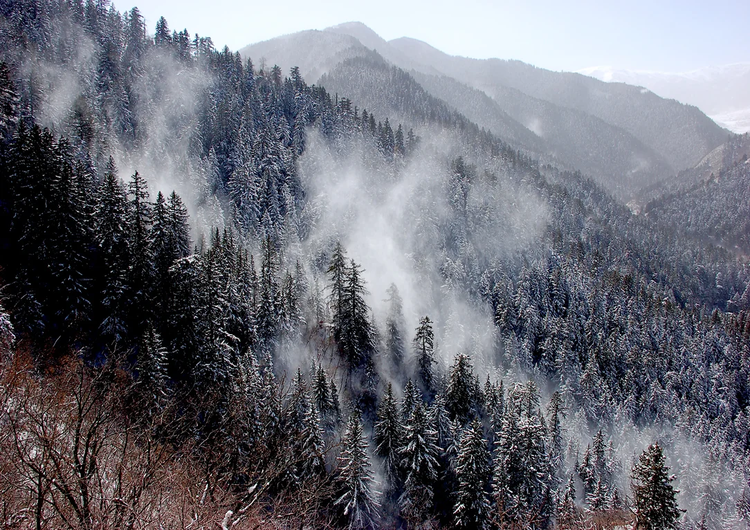 兴隆山（马军 摄）